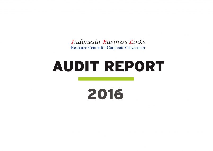 Audit Report 2016